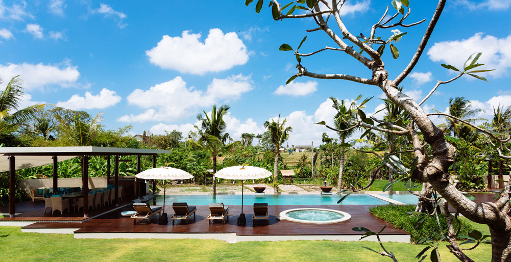 Villa Umah Daun - Pool and view